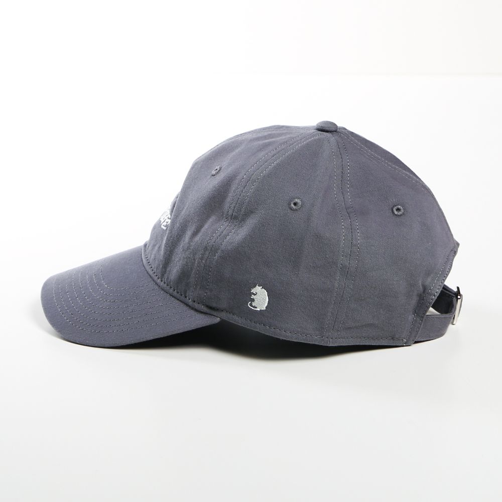 SCRIPT BASE BALL CAP / ベースボールキャップ - グレー / 22'RA-0413