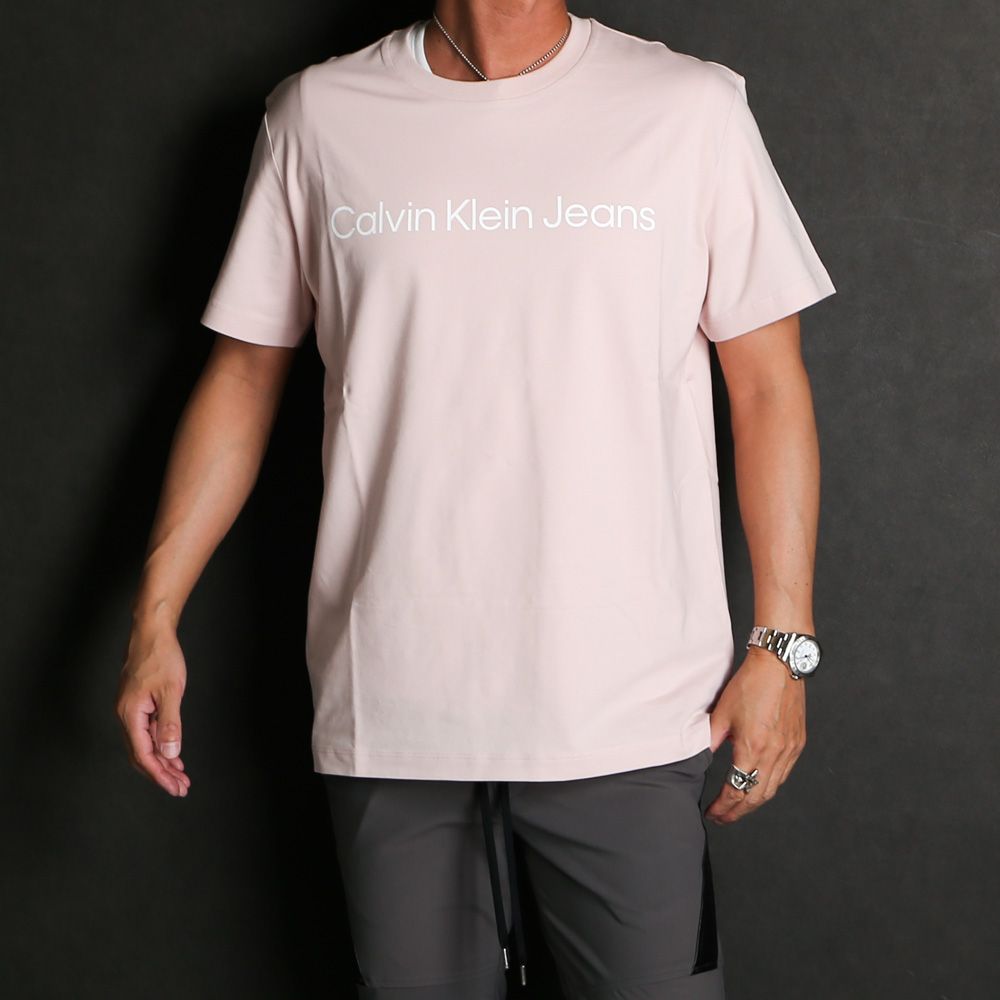 【ラスト1点-サイズXL】 A- SS REG INSTIT LOGO TEE - SEPIA ROSE / Tシャツ / J321612