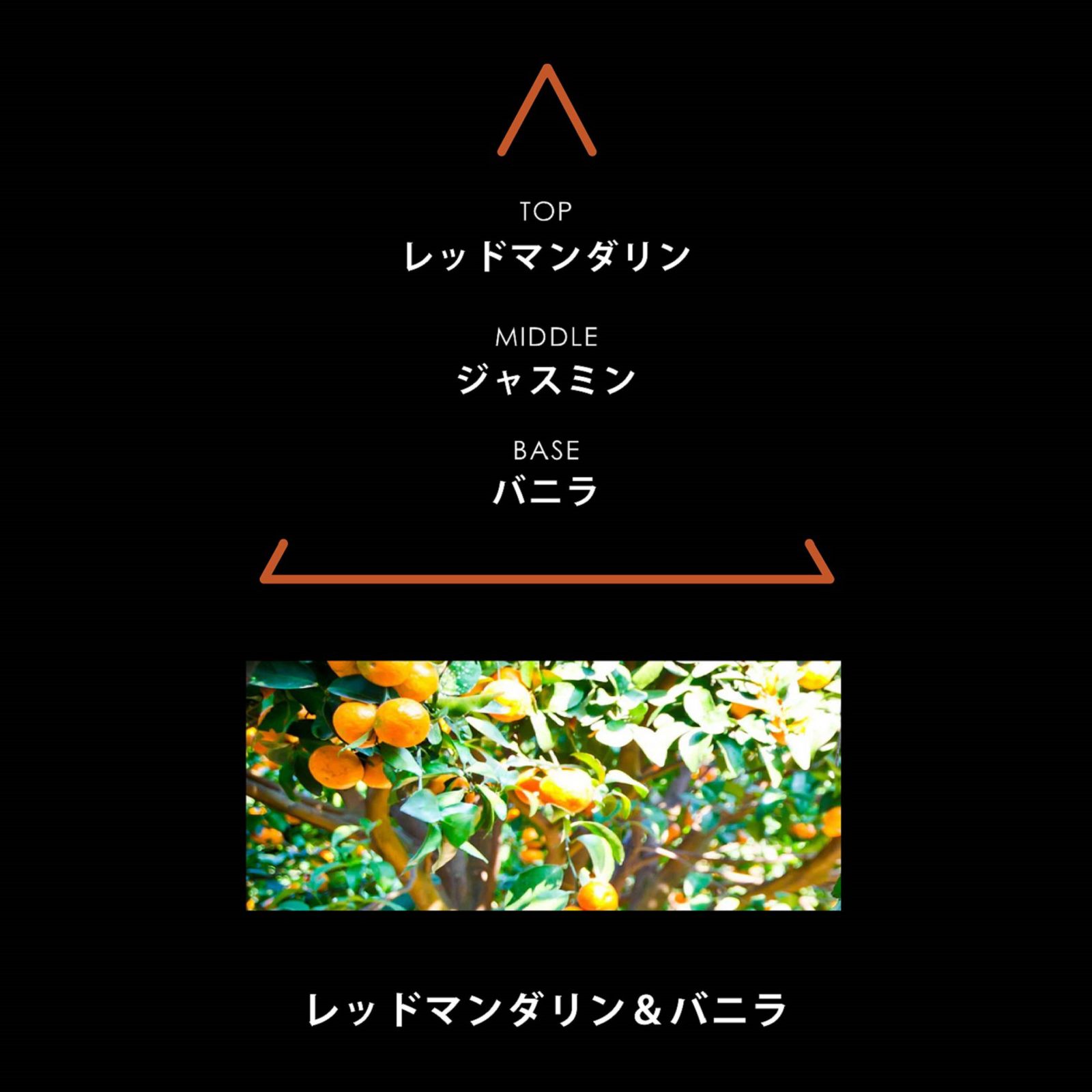 リマーカブル パルファム ティナーレ｜EAUX DE PARFUM REMARQUABLES TINHARE｜オーデパルファム｜ヴィーガンフレグランス