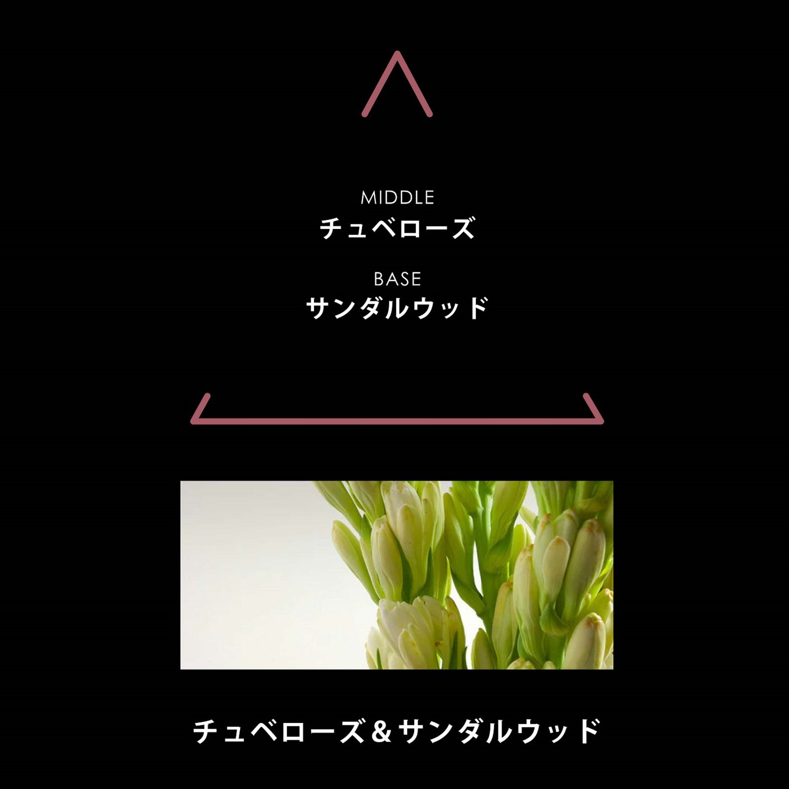 シグネチャー チュベローザ｜PARFUMS SIGNATURES TUBEROSA｜パルファム｜ヴィーガンフレグランス