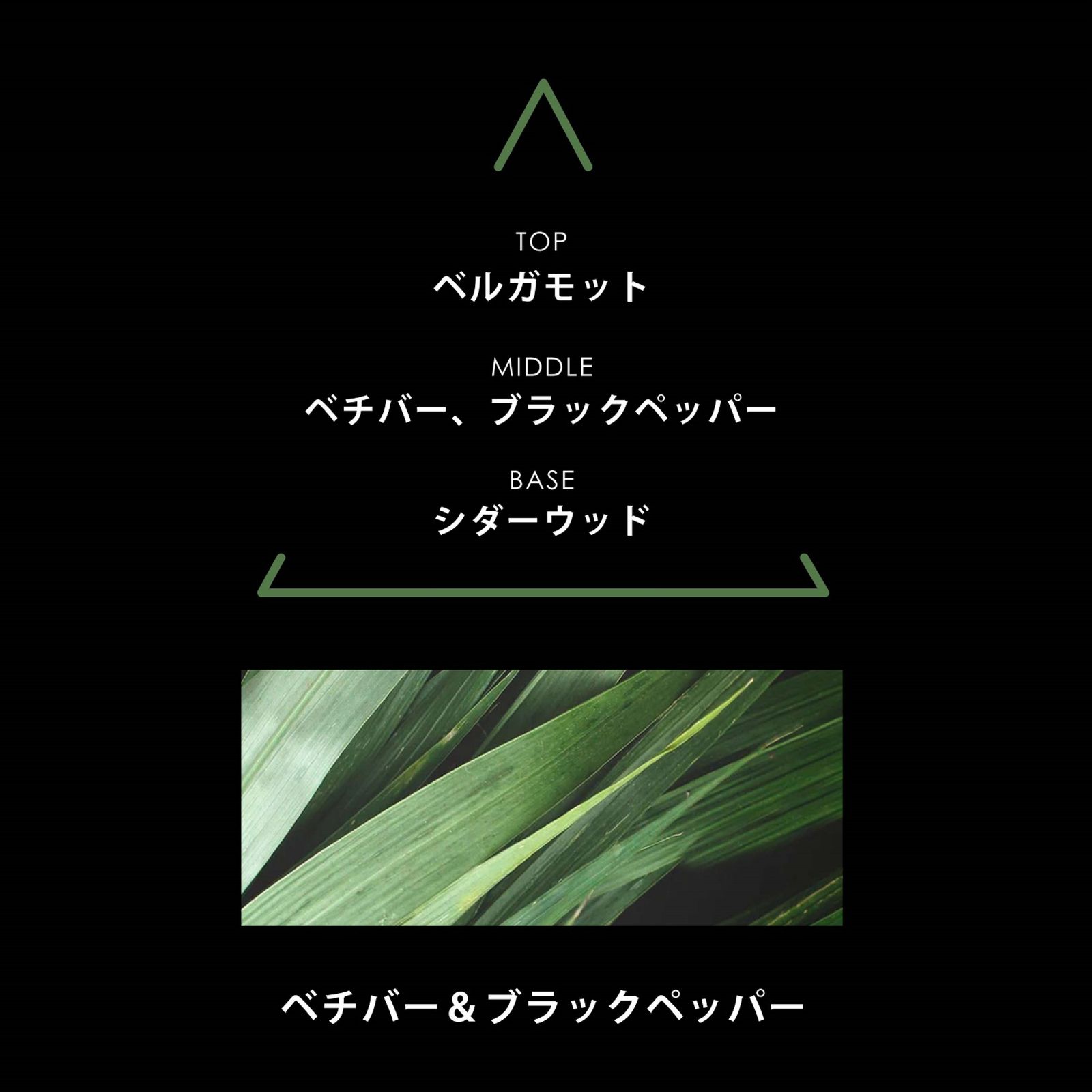 シグネチャー ベチバー｜PARFUMS SIGNATURES VETIVERA｜パルファム｜ヴィーガンフレグランス