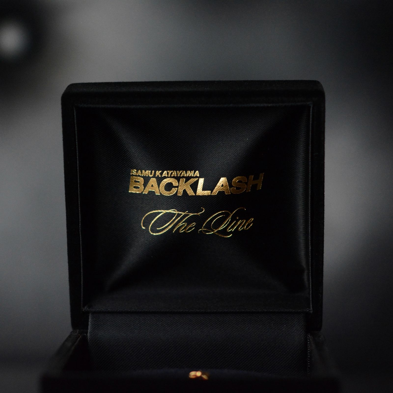 The Line ゴールド18K ピアス （ピアス）