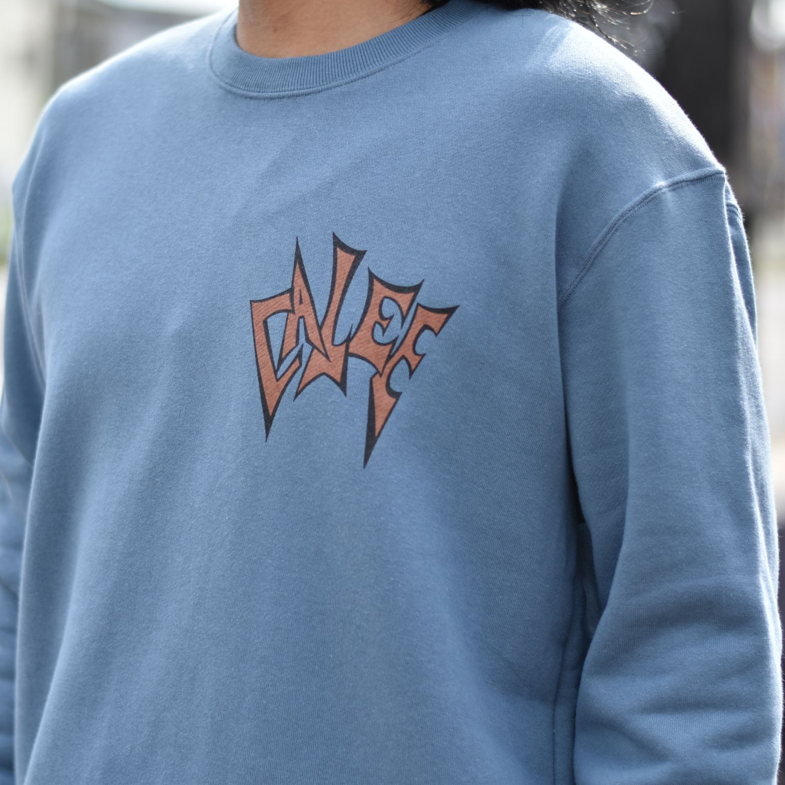 SNAKE BOLT CREW NECK SWEAT (BLUE) / クルーネック スウェット