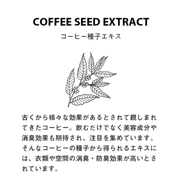 AIR&FABRIC (BLESSED RAIN | WOOD) 120ml 4.0floz / 衣料・布製品・空間用ミスト (ウッド)