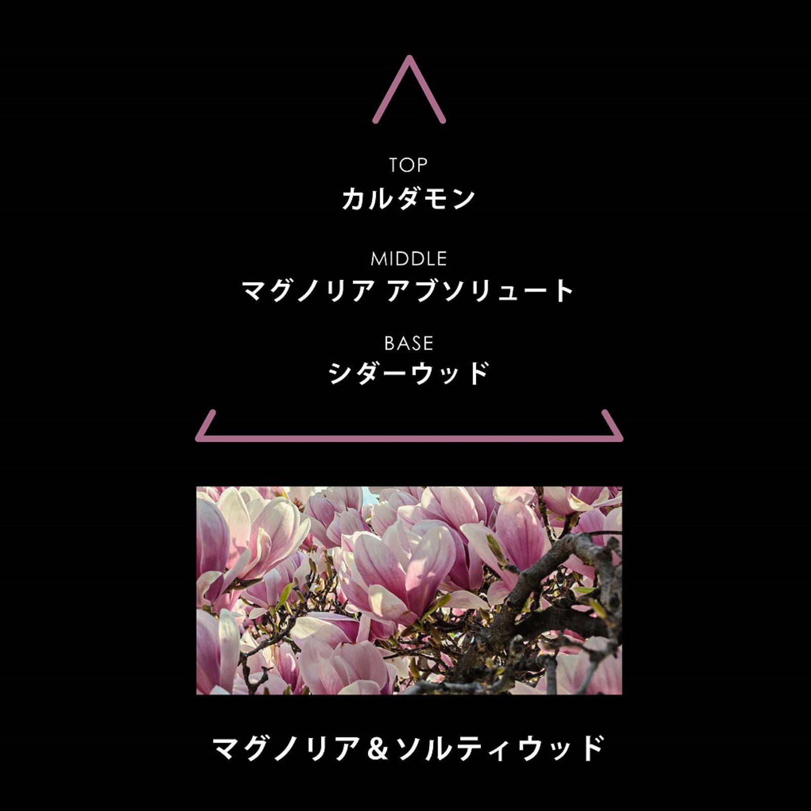 リマーカブル パルファム アノリ｜EAUX DE PARFUM REMARQUABLES ANORI｜オーデパルファム｜ヴィーガンフレグランス