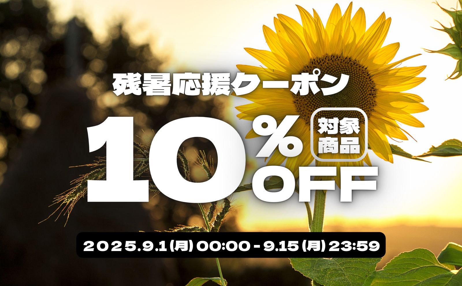 残暑応援10％クーポン｜配布中
