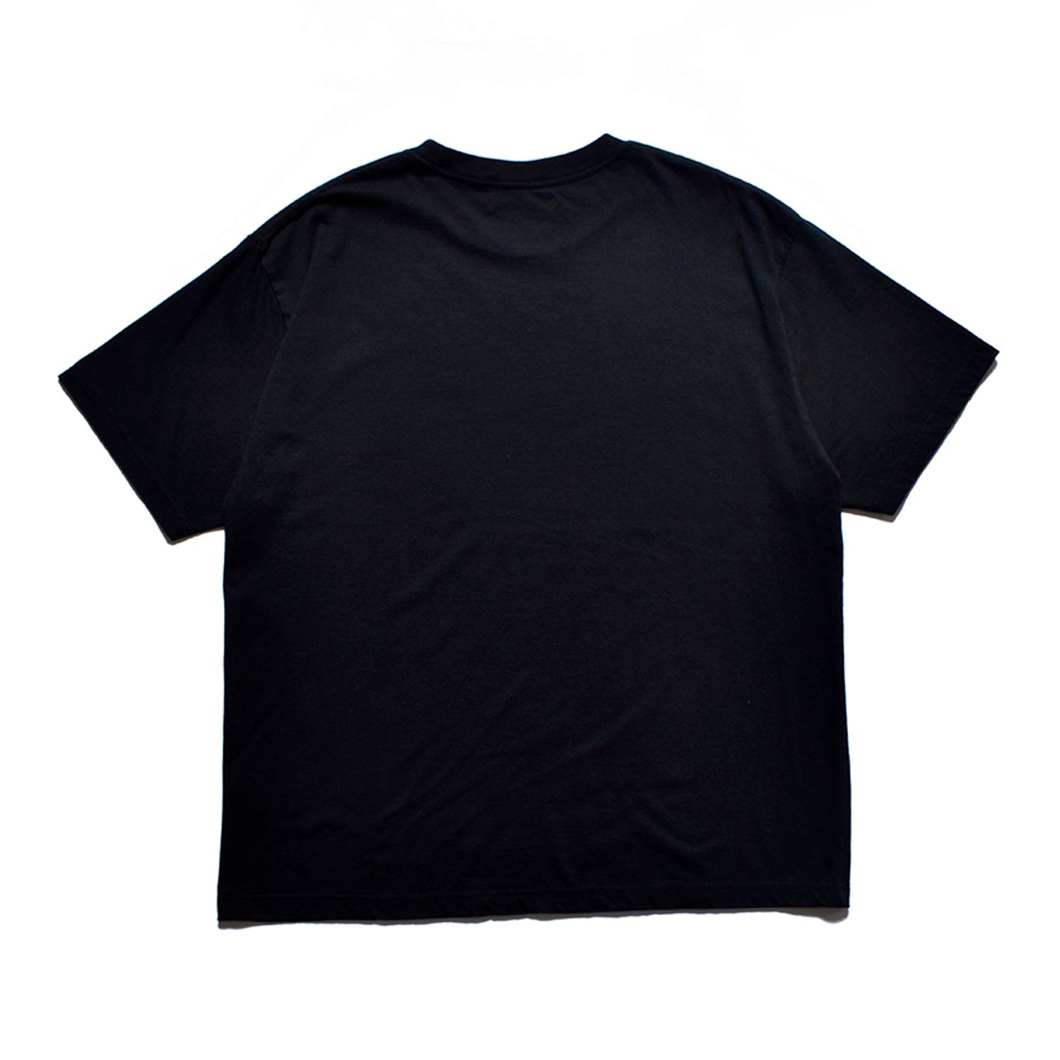THANK YOU FOR THE TRAGEDY T-SH （BLACK ） / プリントTシャツ （ブラック） 2505-4002