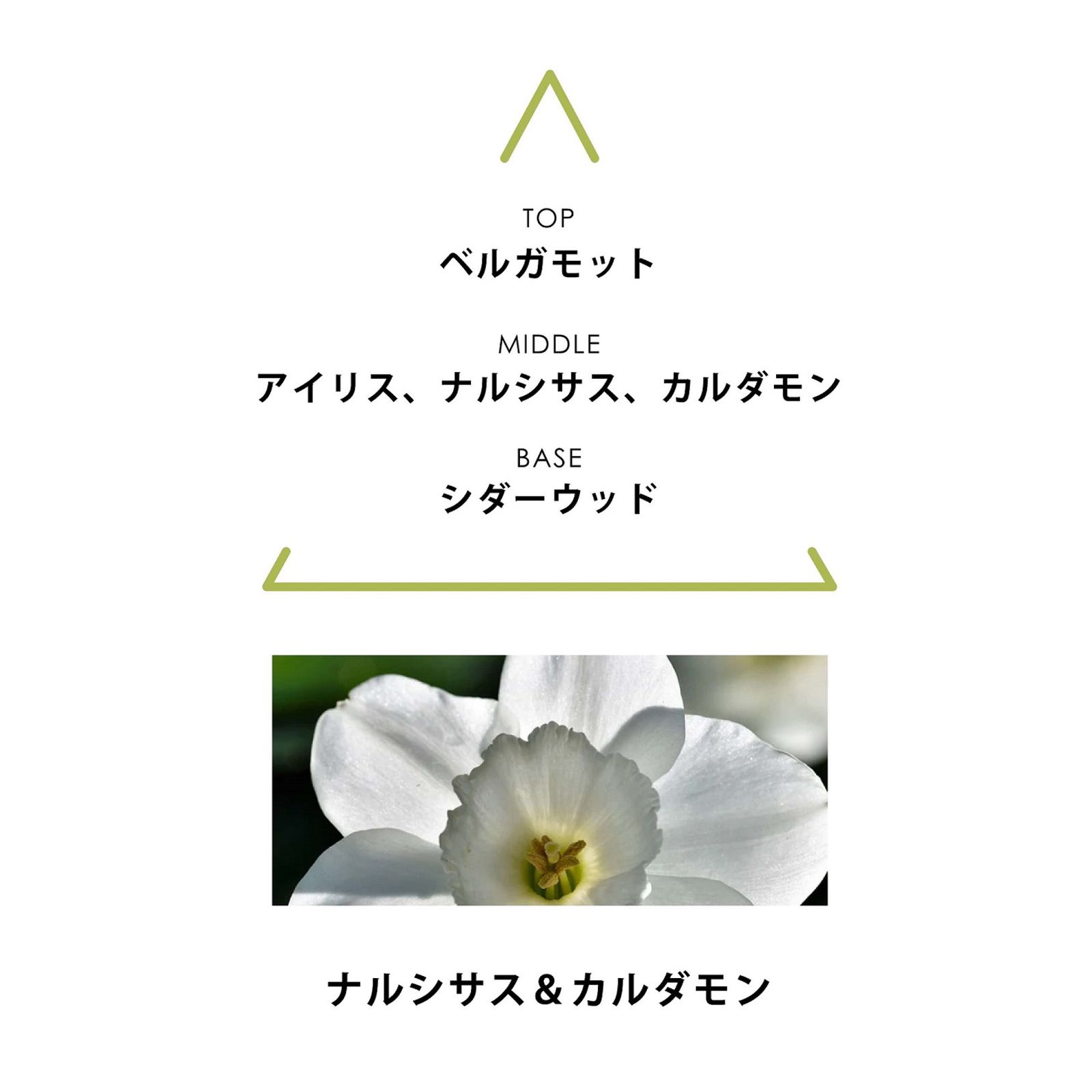 シンギュラー オーデパルファム テリア｜EAUX DE PARFUM SINGULIÈRES THERIA｜オーデパルファム｜ヴィーガンフレグランス