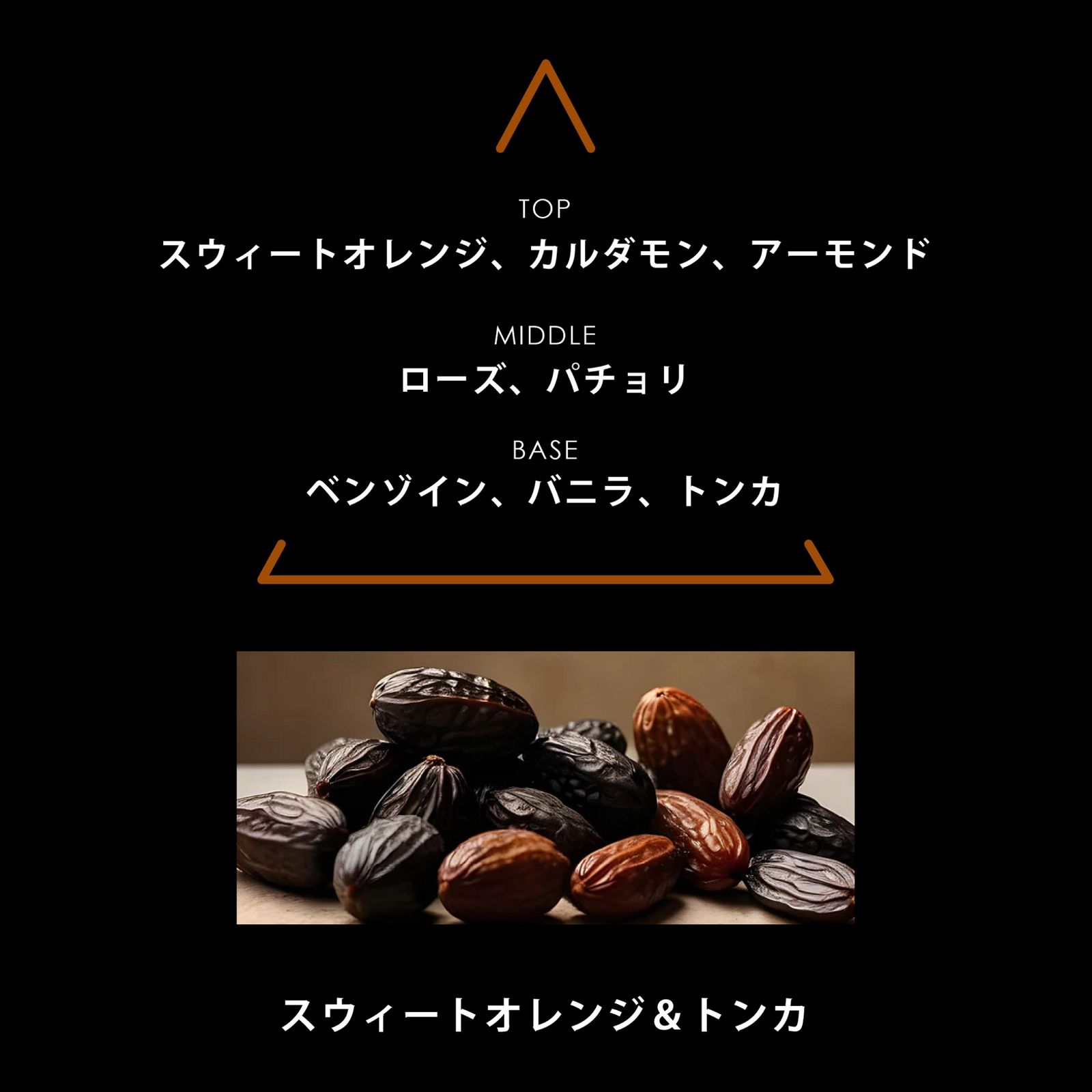 シグネチャー トンカ｜PARFUMS SIGNATURES TONKA｜パルファム｜ヴィーガンフレグランス