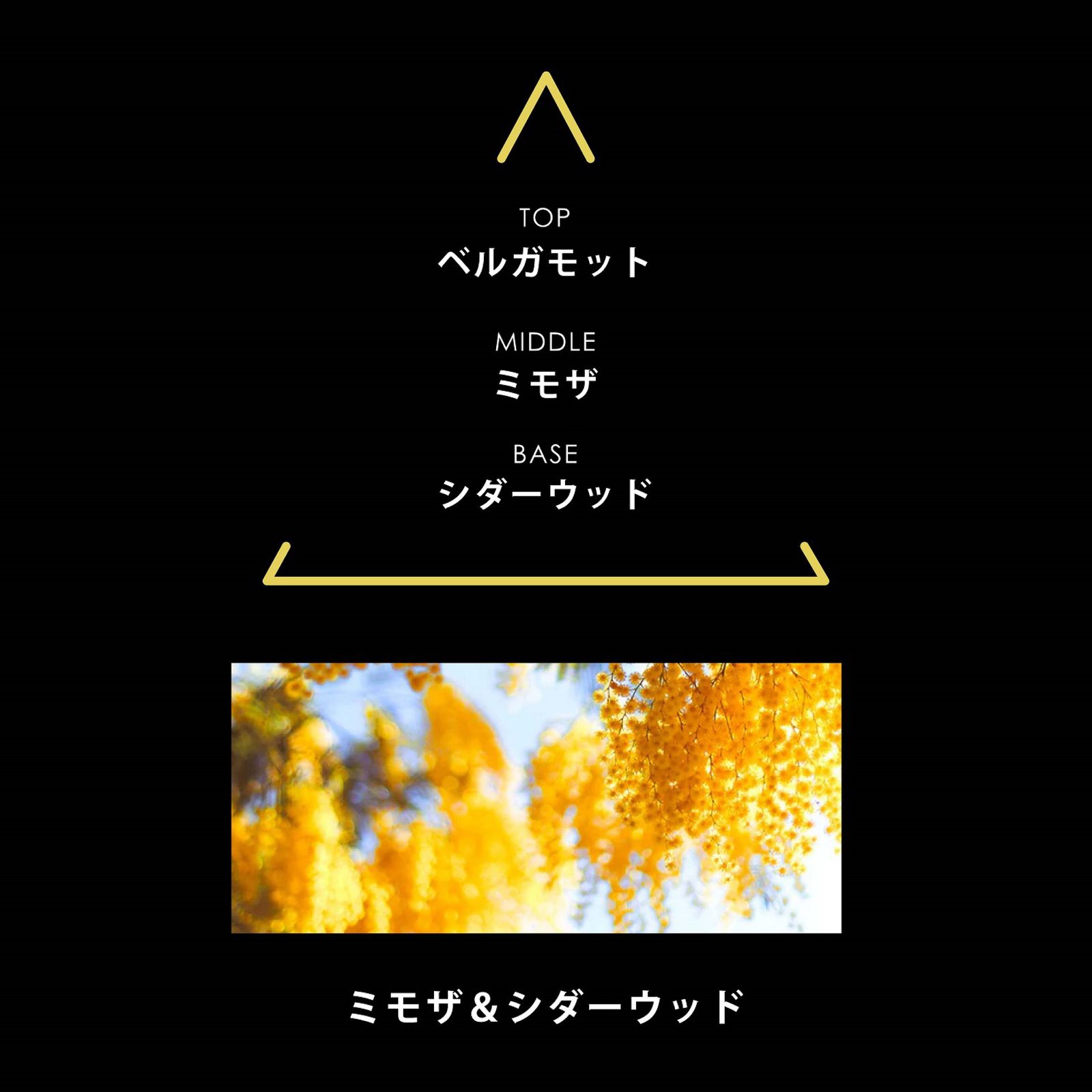シグネチャー ミモザ｜PARFUMS SIGNATURES MIMOSA｜パルファム｜ヴィーガンフレグランス