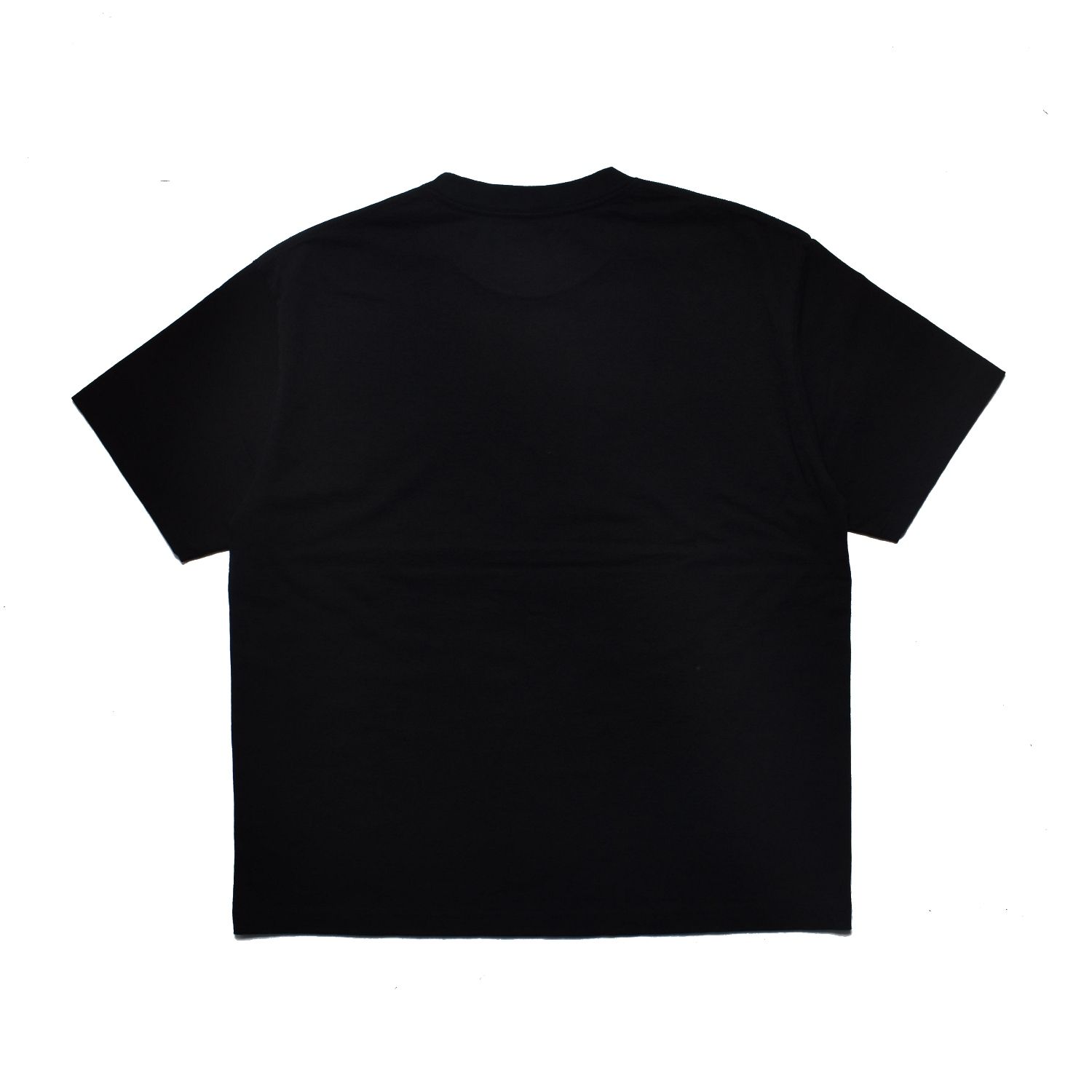 The Most Fascinating Tee （BLK） ｜プリントTシャツ (ブラック)｜2604-4002