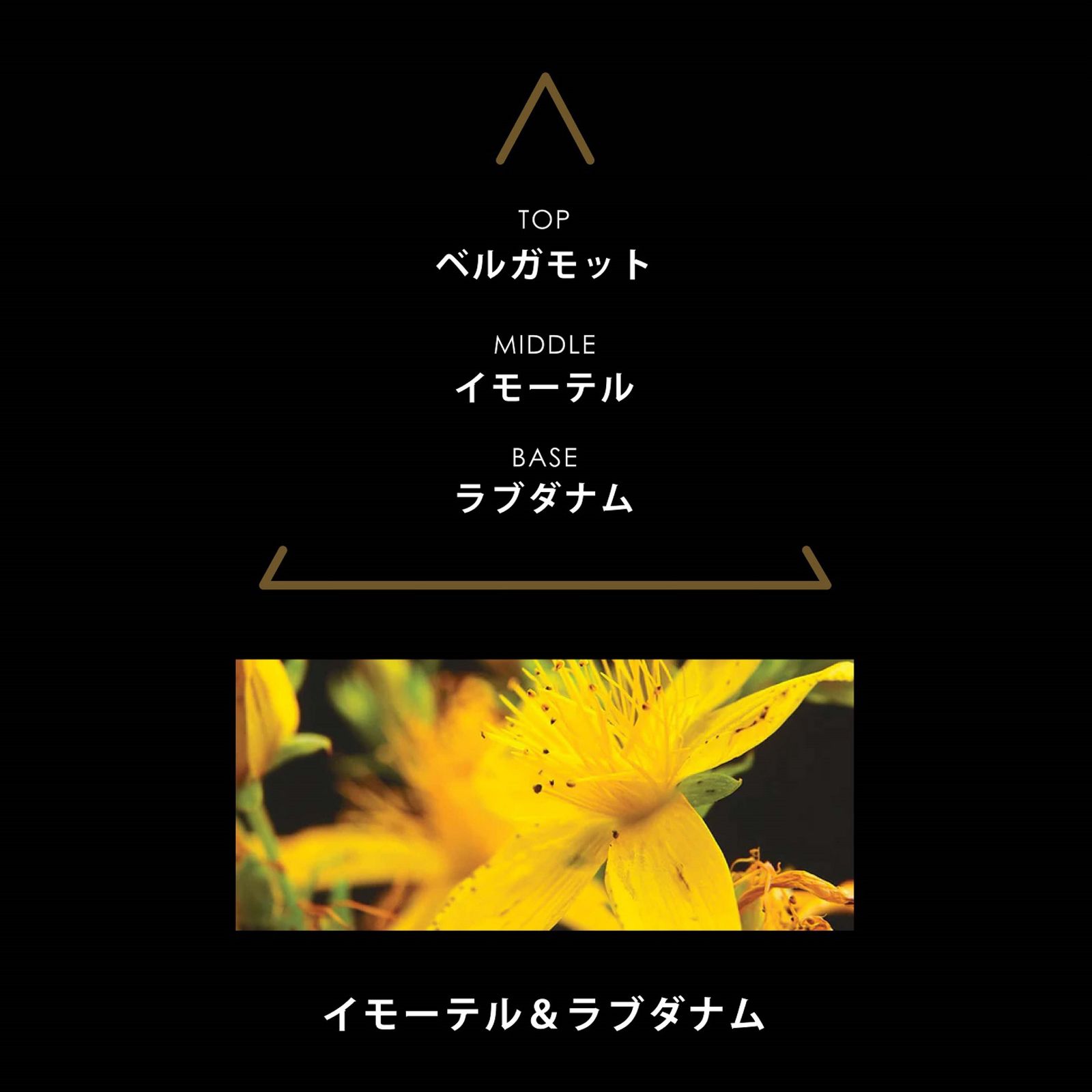 シグネチャー アンブラ｜PARFUMS SIGNATURES AMBRA｜パルファム｜ヴィーガンフレグランス