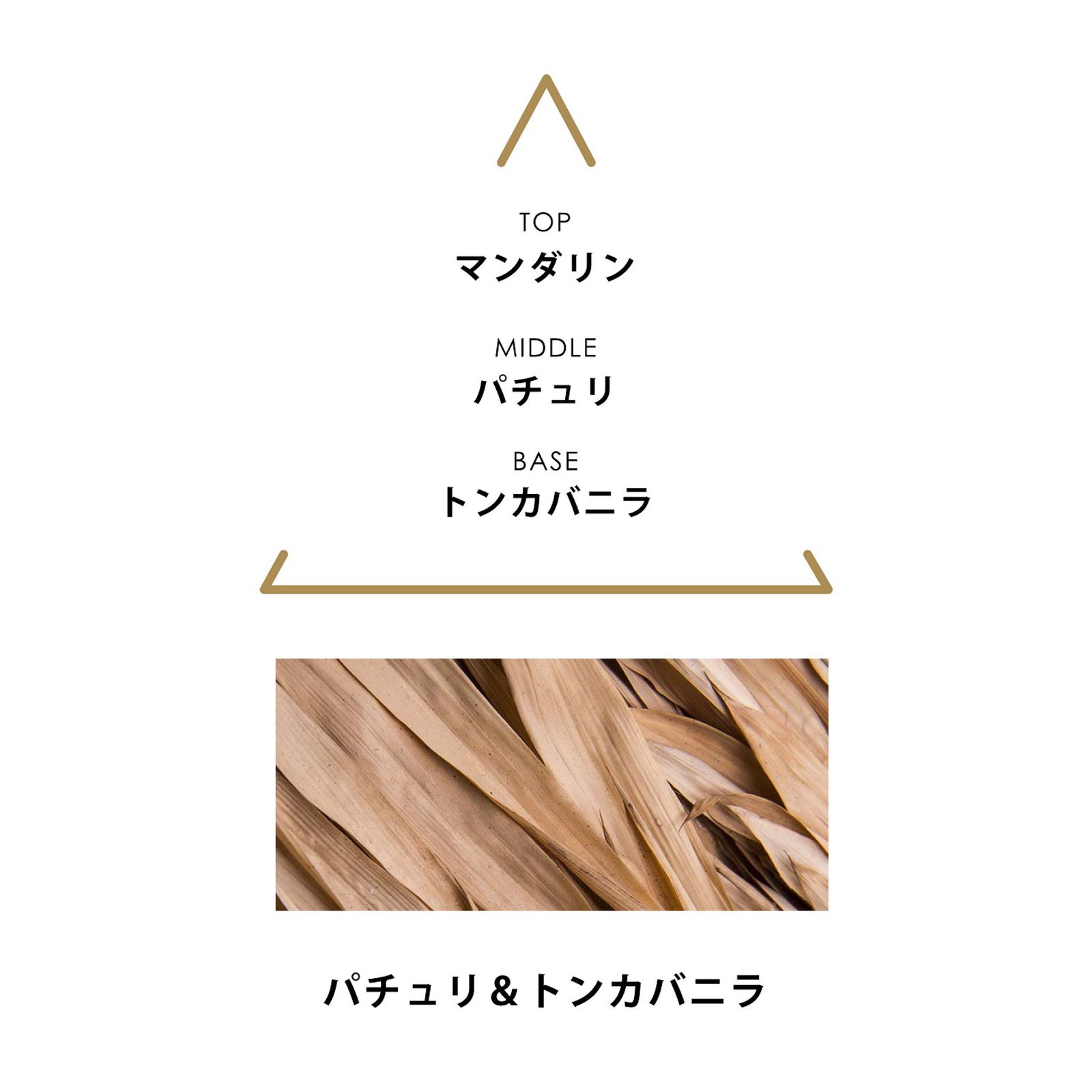シンギュラー オーデパルファム ヌビカ｜EAUX DE PARFUM SINGULIÈRES NUBICA｜オーデパルファム｜ヴィーガンフレグランス