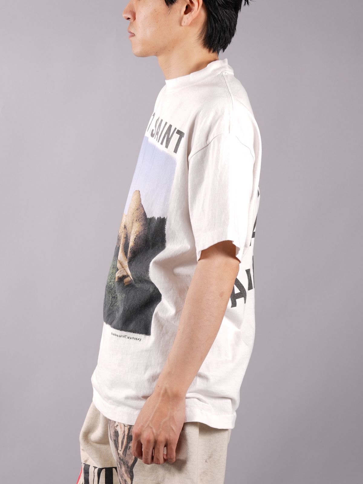 SAINT M×××××× - SM-S22-0000-008/SS TEE/HATE SHEEP/WHITE / Tシャツ