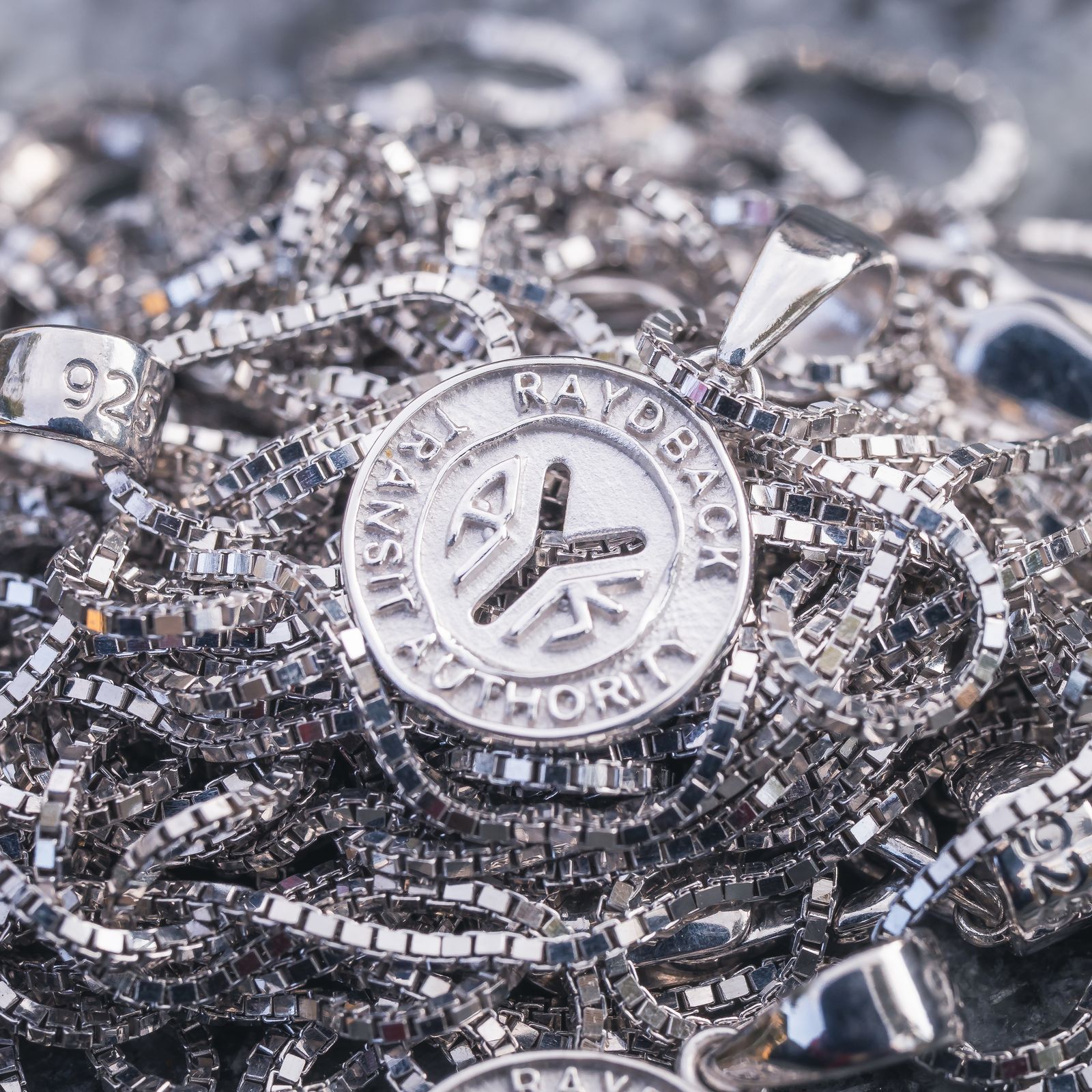 【残りわずか】【コラボ】TOKEN SILVER925 PENDANT feat. RAYDBACK / ネックレス (シルバー)