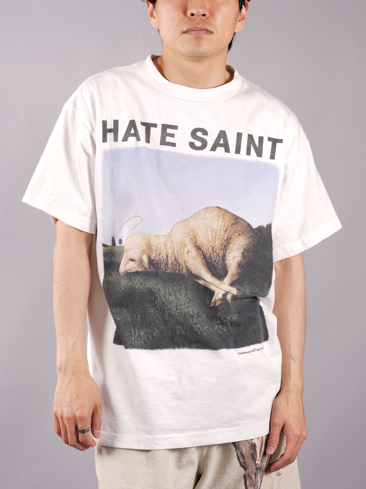 SAINT Mxxxxxx セント マイケル 22SS HATE SHEEP フロントフォトプリント 半袖Tシャツ ホワイト SM-S22-0000-008