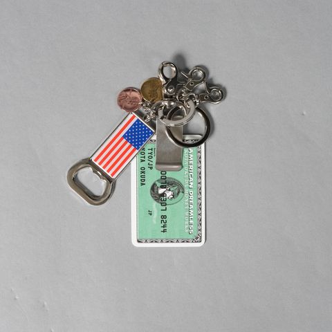 MONEY CLIP KEYRING (STELL) / マネークリップキーリング (シルバー/グリーン)