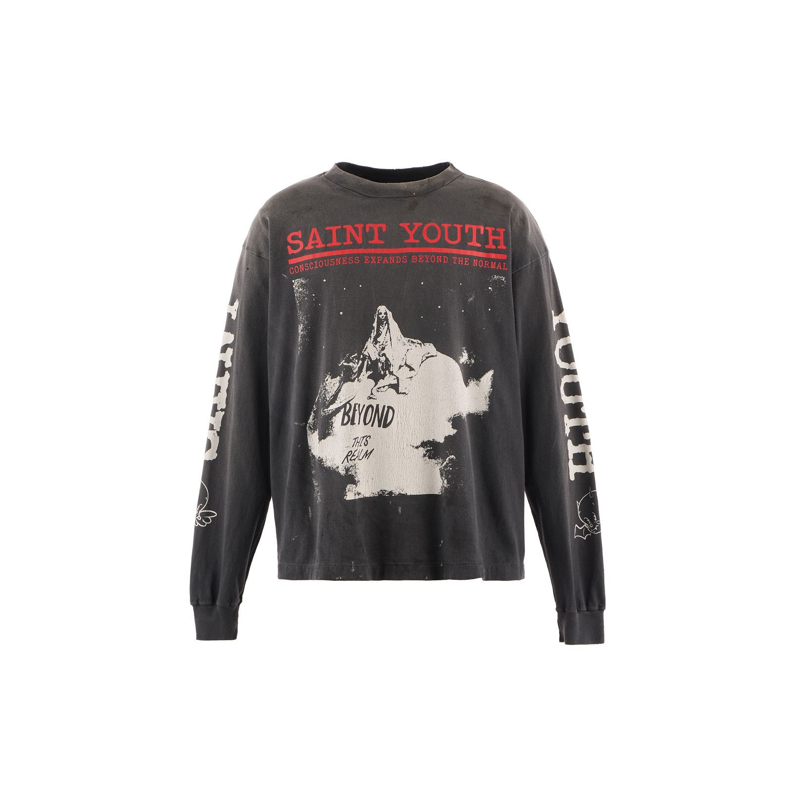 SM-HR1-0000-032 / LS TEE / SAINT YOUTH / BLACK / Tシャツ (ブラック)