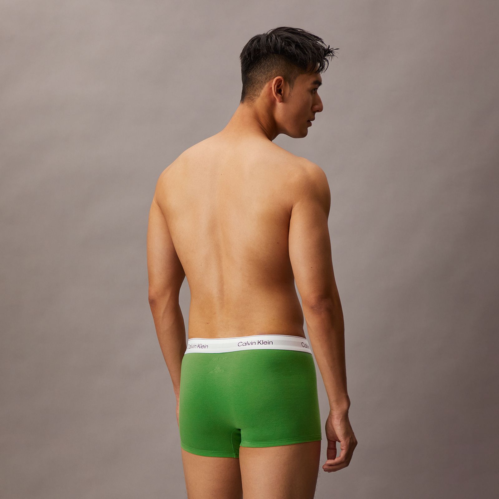 【残りわずか】Icon Cotton Stretch Trunks 3 Pack / ボクサーパンツ / [3枚パック] (フローズンフィヨルド/シュプリーム グリーン/ブラック)