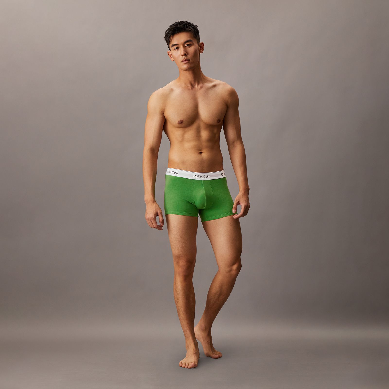 【残りわずか】Icon Cotton Stretch Trunks 3 Pack / ボクサーパンツ / [3枚パック] (フローズンフィヨルド/シュプリーム グリーン/ブラック)