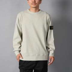 6100017 / ORGANIC COTTON INTERLOCK  / クルーネックスウェット (サンド)