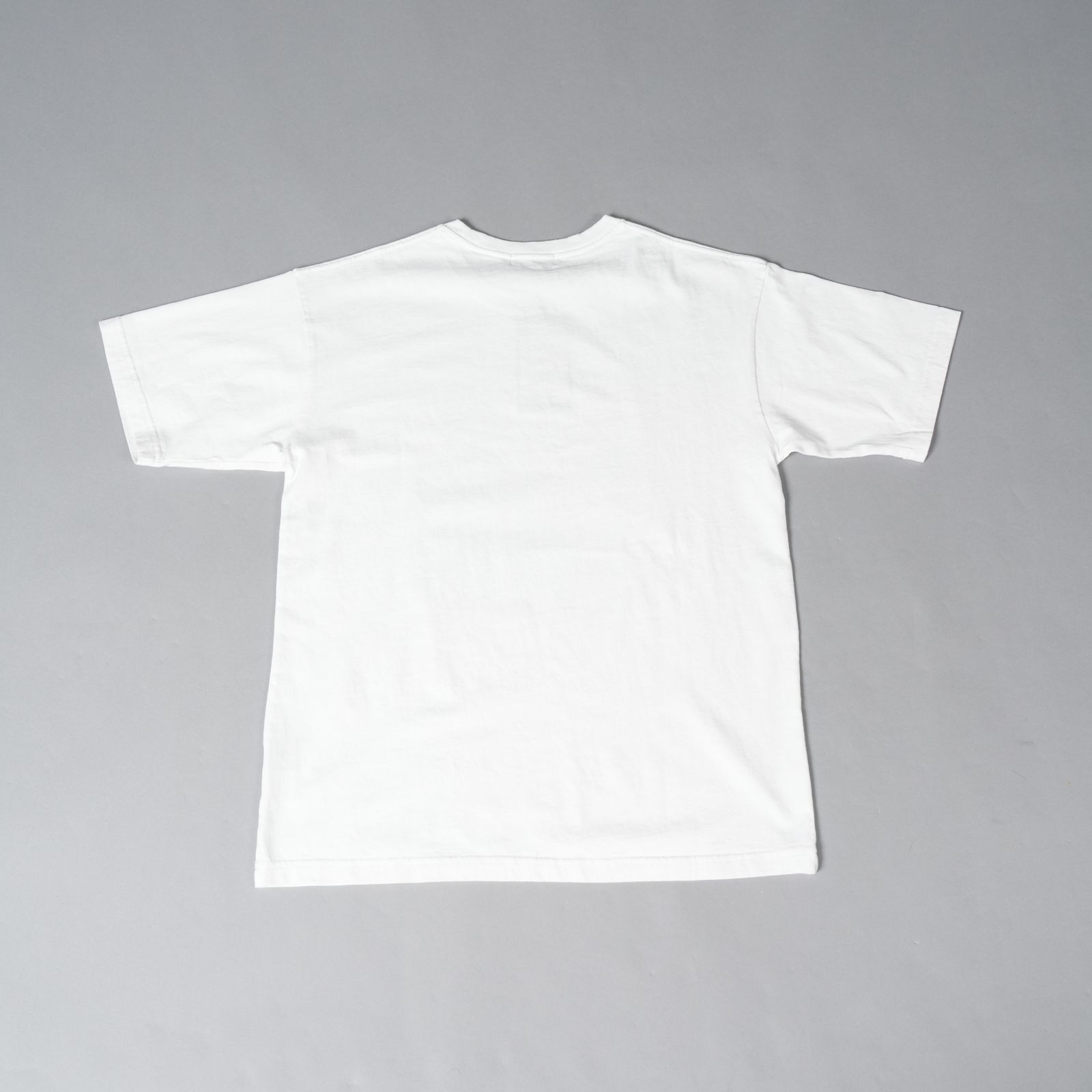 UM25AW-19 / PUBLIC ENEMY / パブリックエネミー / Tシャツ (ホワイト)