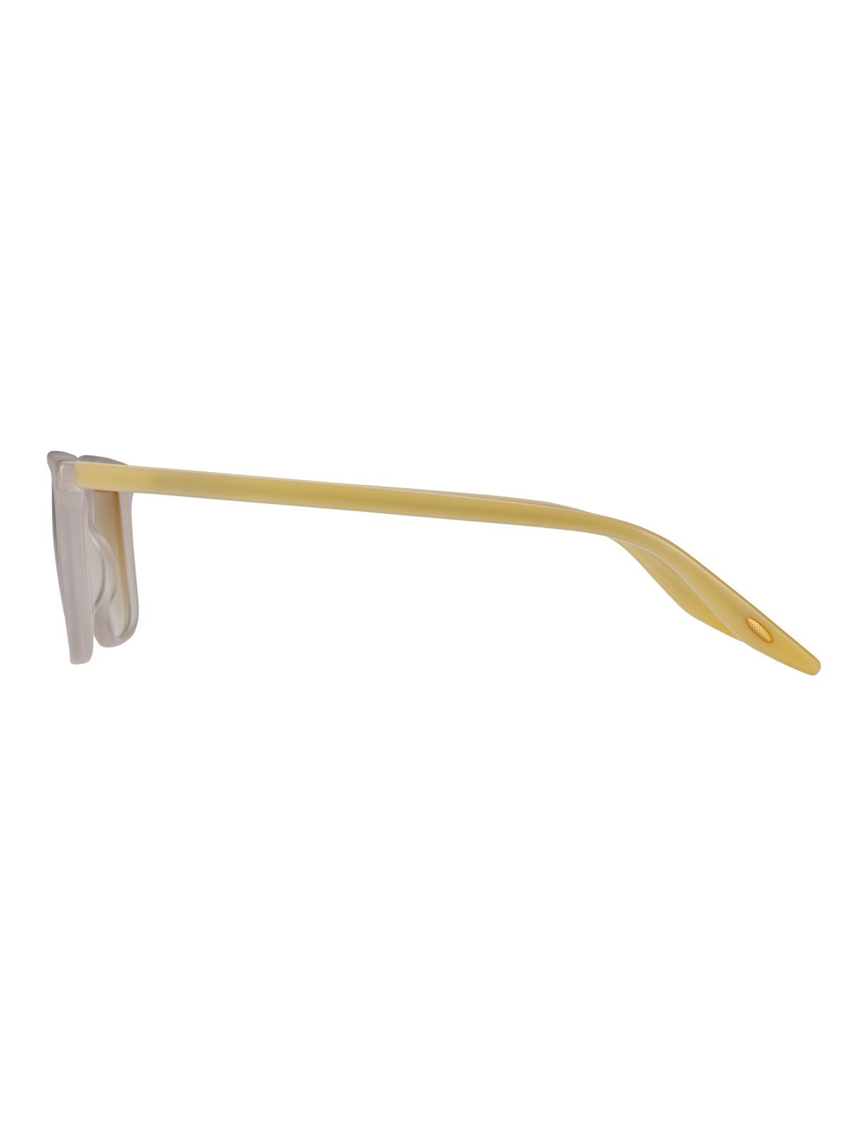 ラスト1点 / SN-FGBP2021 MATTE_SAND_MATTE SAND (FOG) / サングラス (マッド サンド)
