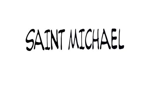 SAINT MICHAEL / セントマイケル / 20aw / 3rd Drop