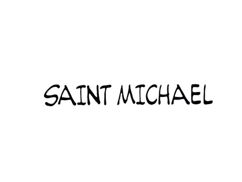 SAINT MICHAEL / 20aw / 1st delivery