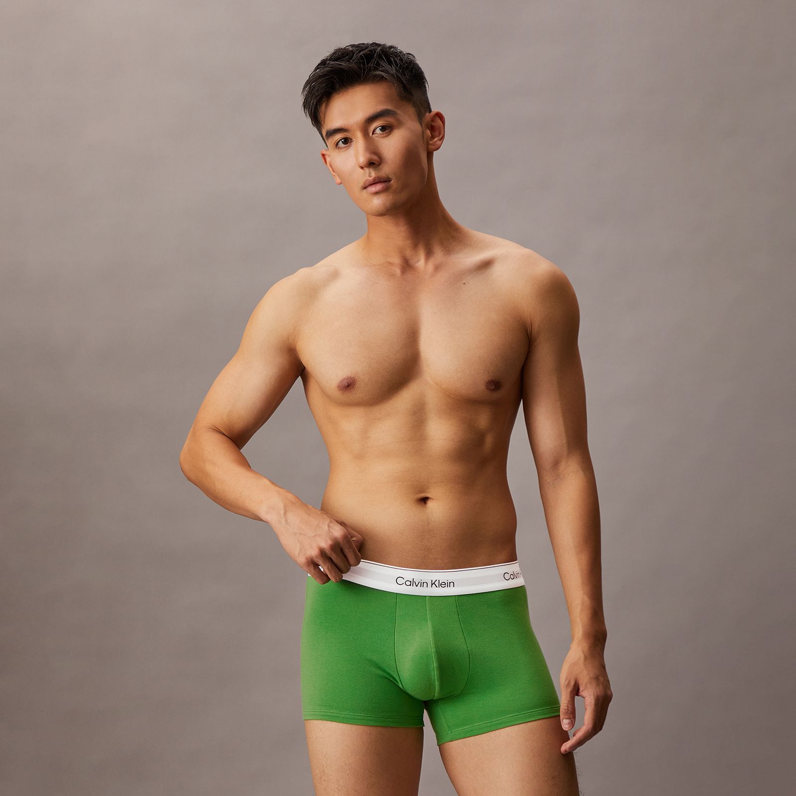 【残りわずか】Icon Cotton Stretch Trunks 3 Pack / ボクサーパンツ / [3枚パック] (フローズンフィヨルド/シュプリーム グリーン/ブラック)