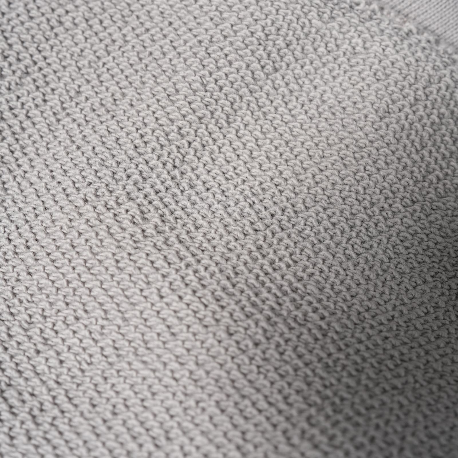 6100028 / HEAVY ORGANIC COTTON FLEECE_S.I. GHOST / クールネックスウェット・トレーナー (ダスト)