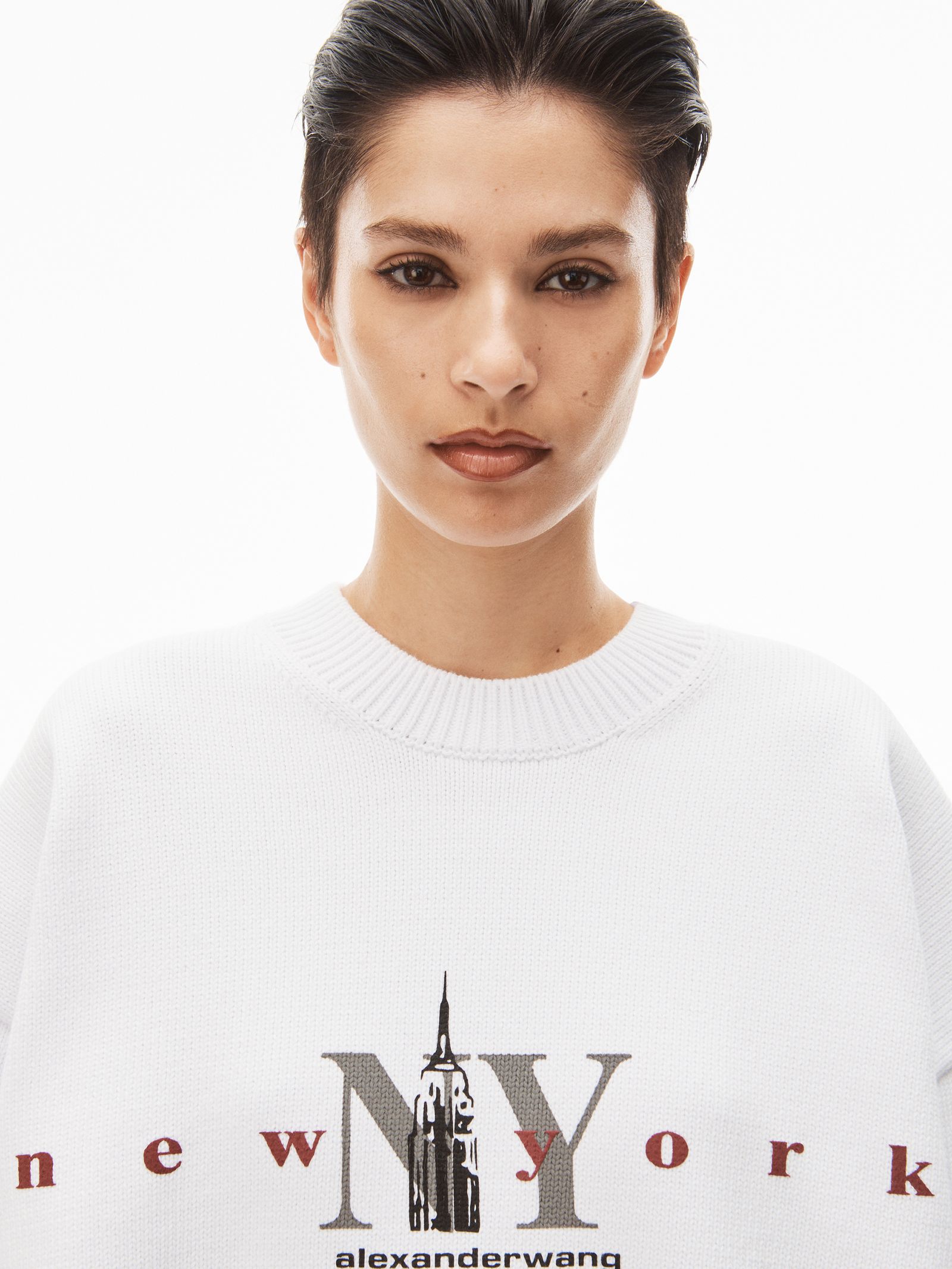 Alexander Wang - CREWNECK PULLOVER WITH NY EMPIRE ...