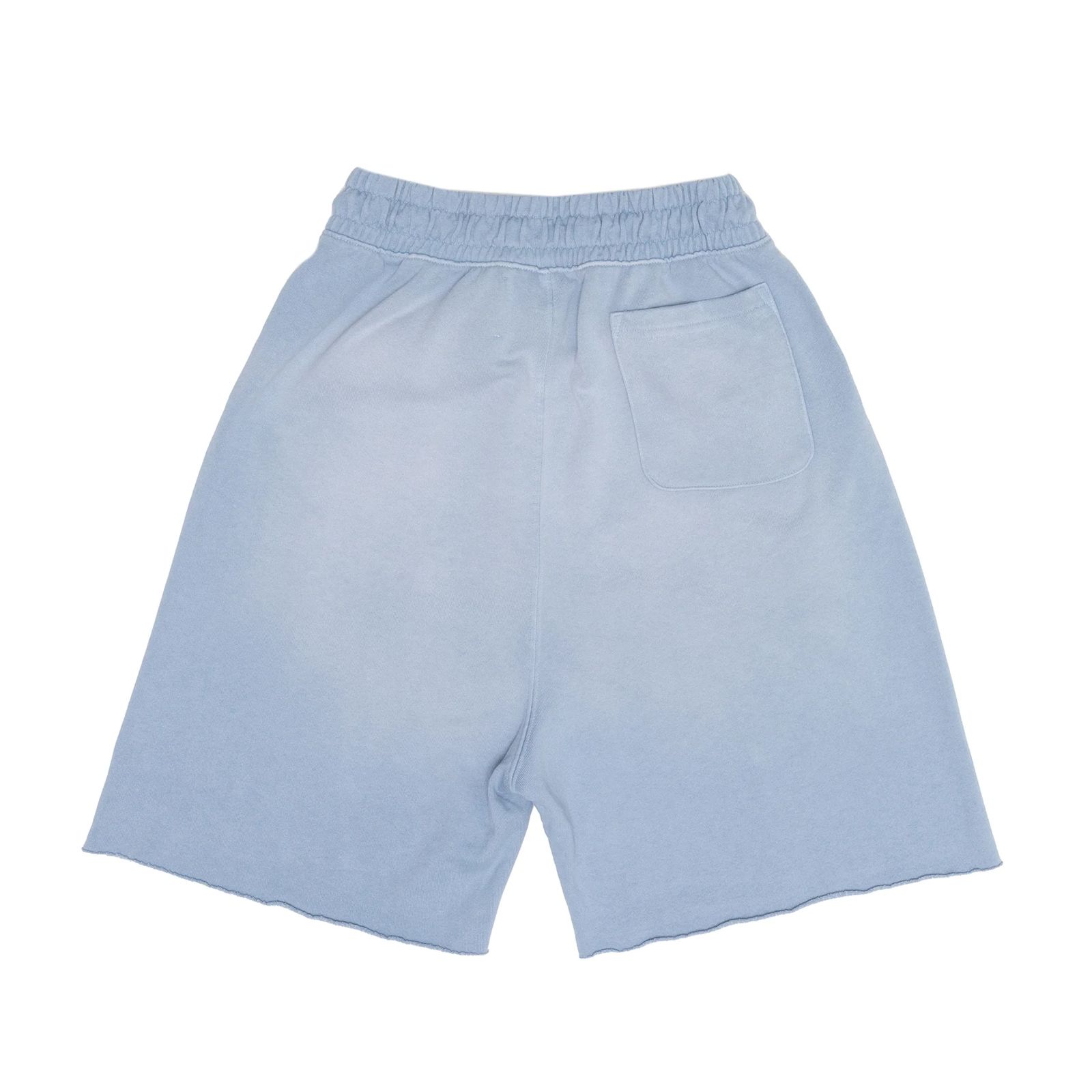 BOBBY DRISCOLL SWEAT SHORT / スウェットショーツ (ブルー)