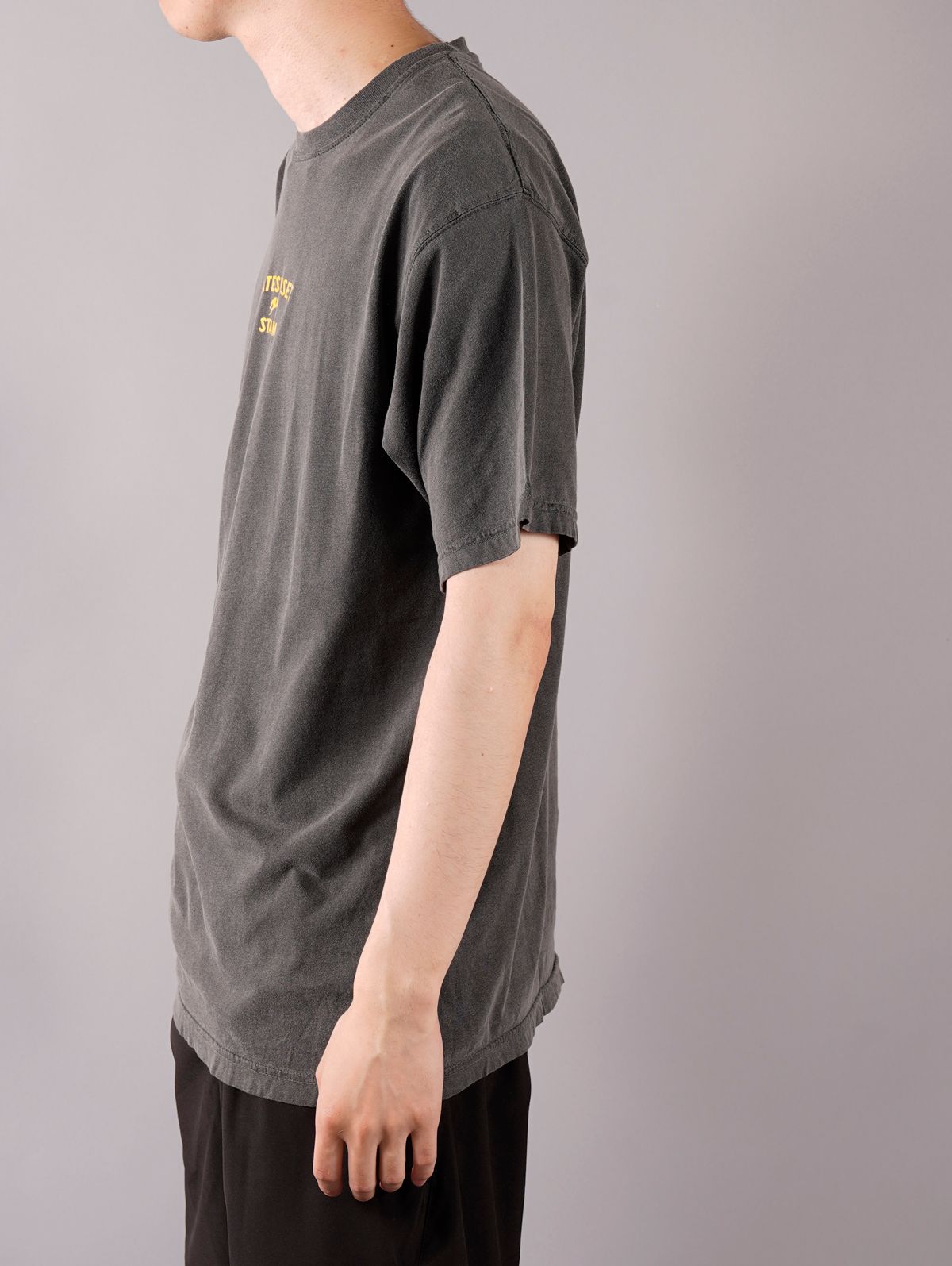 ラスト1点 / Late Sunset Stadium T-Shirt - Tシャツ (グレー)