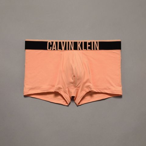 【ラスト1点】LOW RISE TRUNKS / ボクサーパンツ / Intense Power Ultra Cooling / ローライズトランクス (パパヤパンチ) NB3836 Calvin Klein