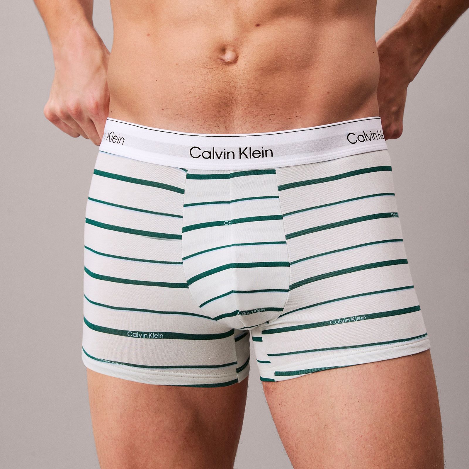 【ラスト1点】Icon Cotton Stretch Trunks 3 Pack / ボクサーパンツ / [3枚パック] (ターフ／ロゴ スプリットストライプ × スプラウトグリーン／フローズンフィヨルド)