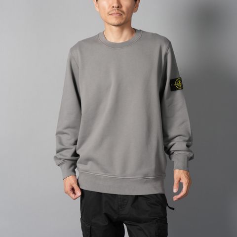 【定番アイテム】 6100060 / ORGANIC COTTON FLEECE / トレーナー / クルーネックスウェット 【ガーメントダイ】  (セメント)