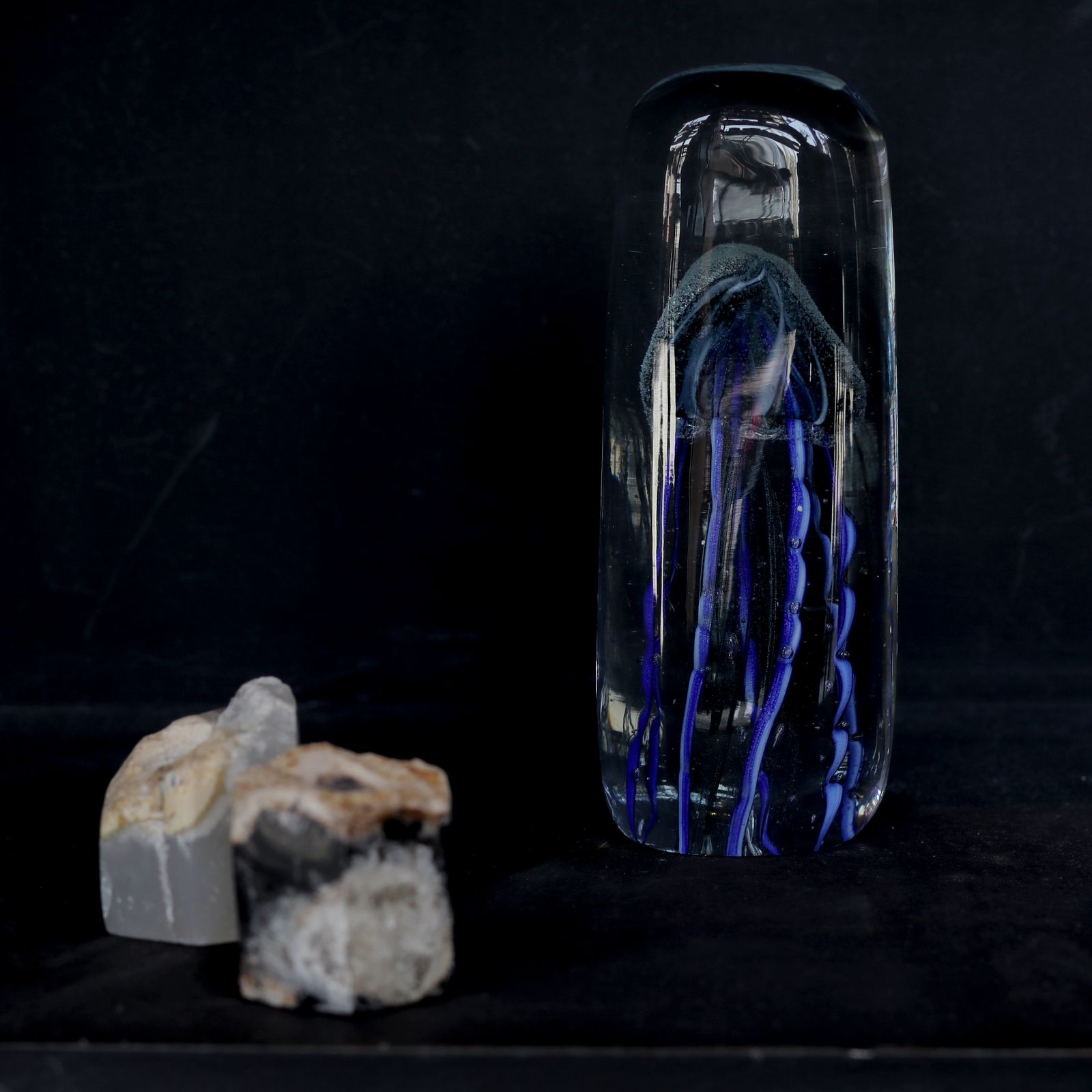 JELLYFISH TWISTED LEG "Tall/Blue"