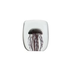 JELLYFISH TWISTED LEG "Square/Purple"