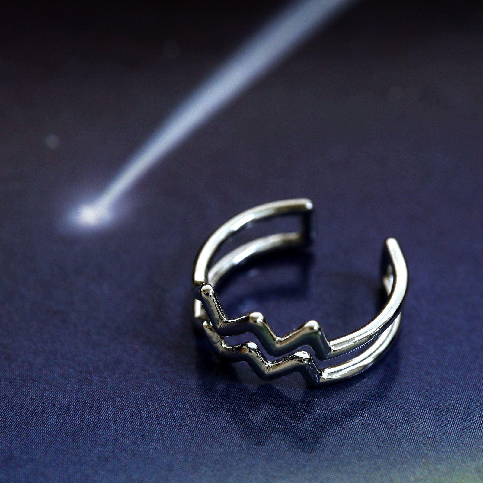 「horoscope ring Aquarius」リング みずがめ座 シルバー