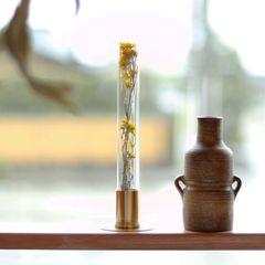 「HERBARIUM BRASS GLASS DOME & VASE SOLID」ローゼンタ