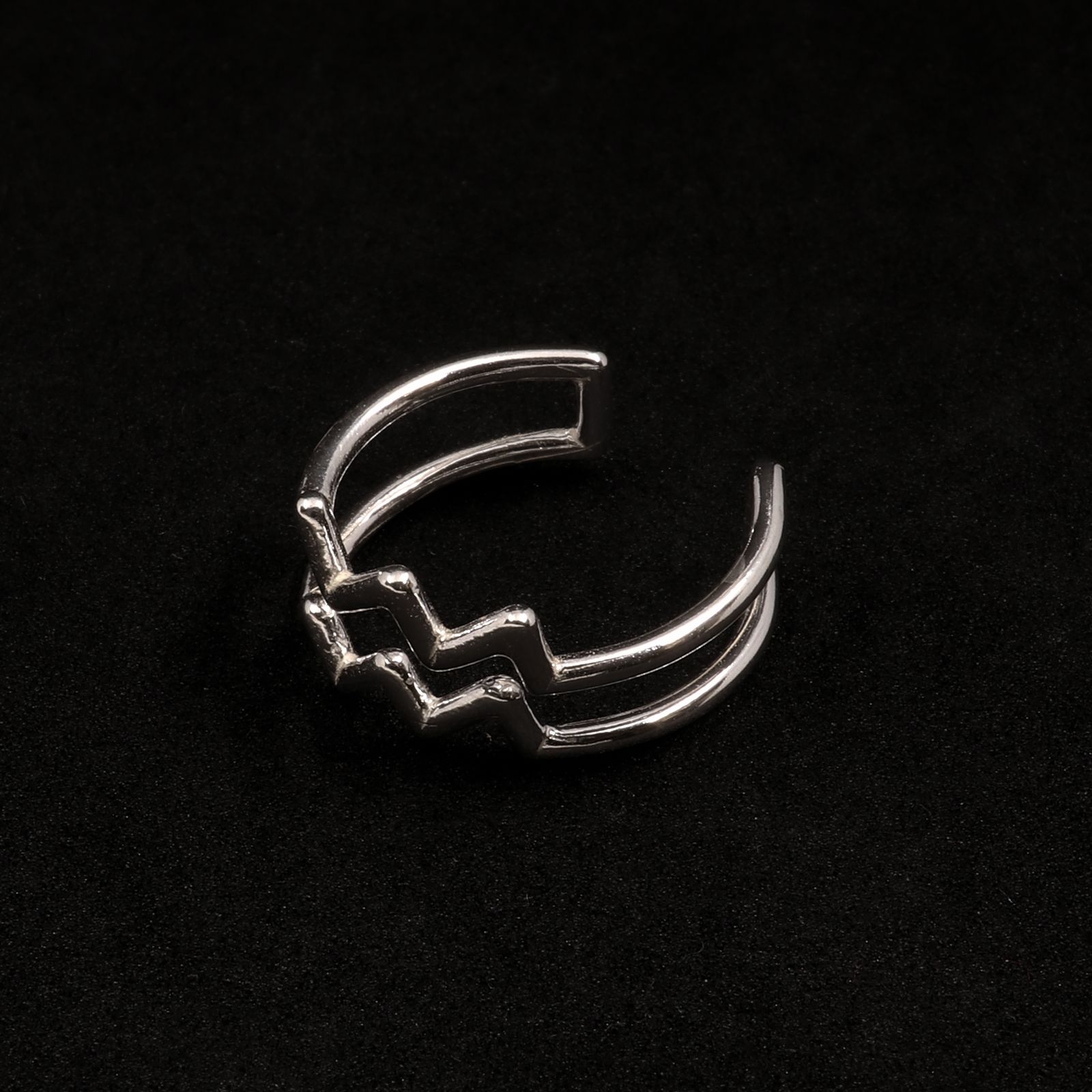 【Silver Jewel】horoscope ring Aquarius みずがめ座 シルバー925