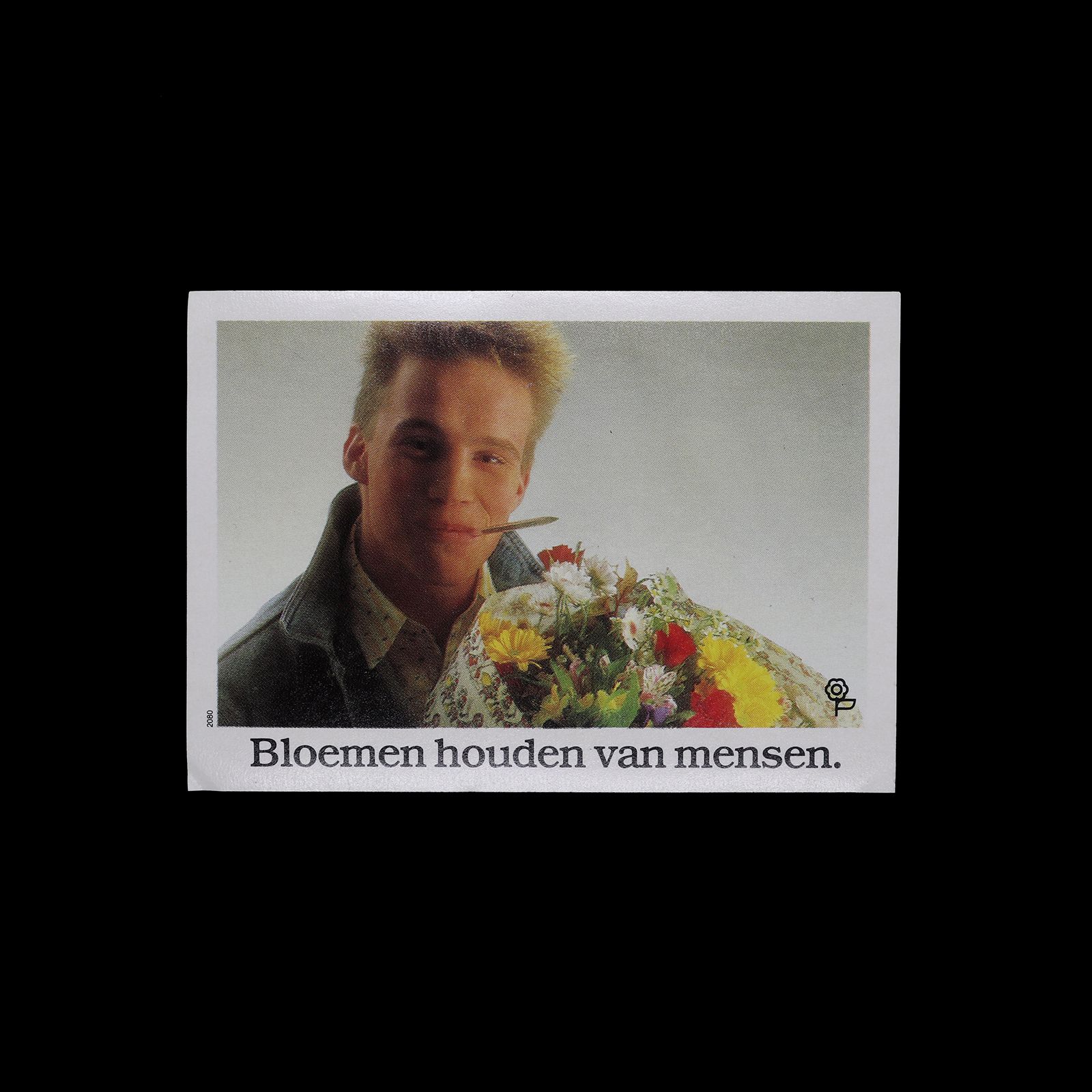 「Bloemen houden van mensen」ヴィンテージステッカー ヨーロッパ