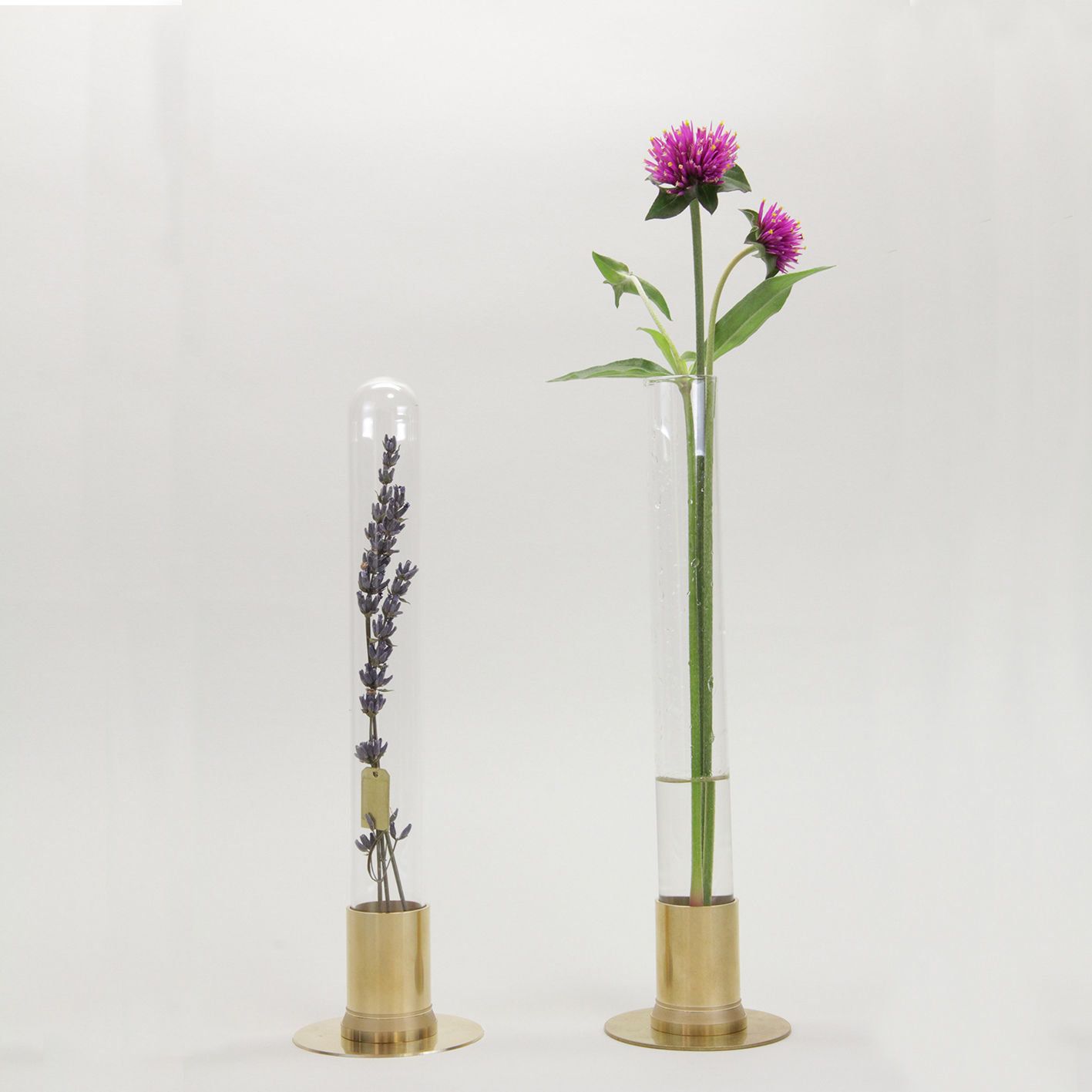 「HERBARIUM BRASS GLASS DOME & VASE SOLID」ラグラス