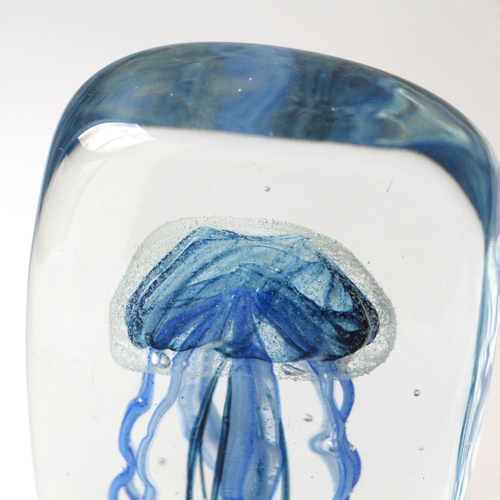 JELLYFISH TWISTED LEG "Square/Blue"
