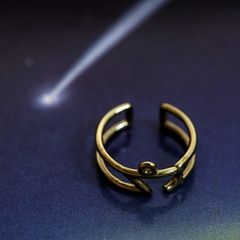 「horoscope ring Capricorn」リング やぎ座 ゴールド
