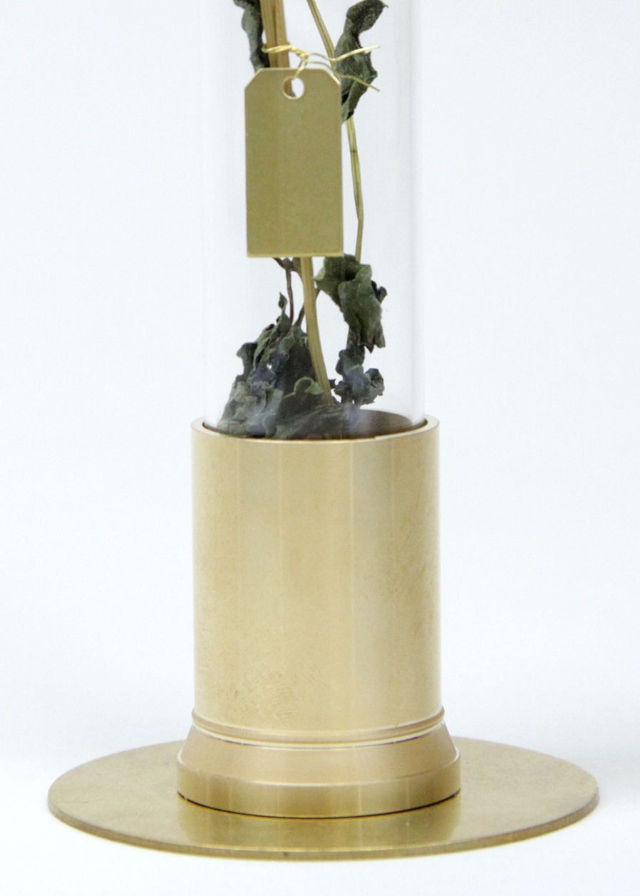 「HERBARIUM BRASS GLASS DOME & VASE SOLID」ローゼンタ
