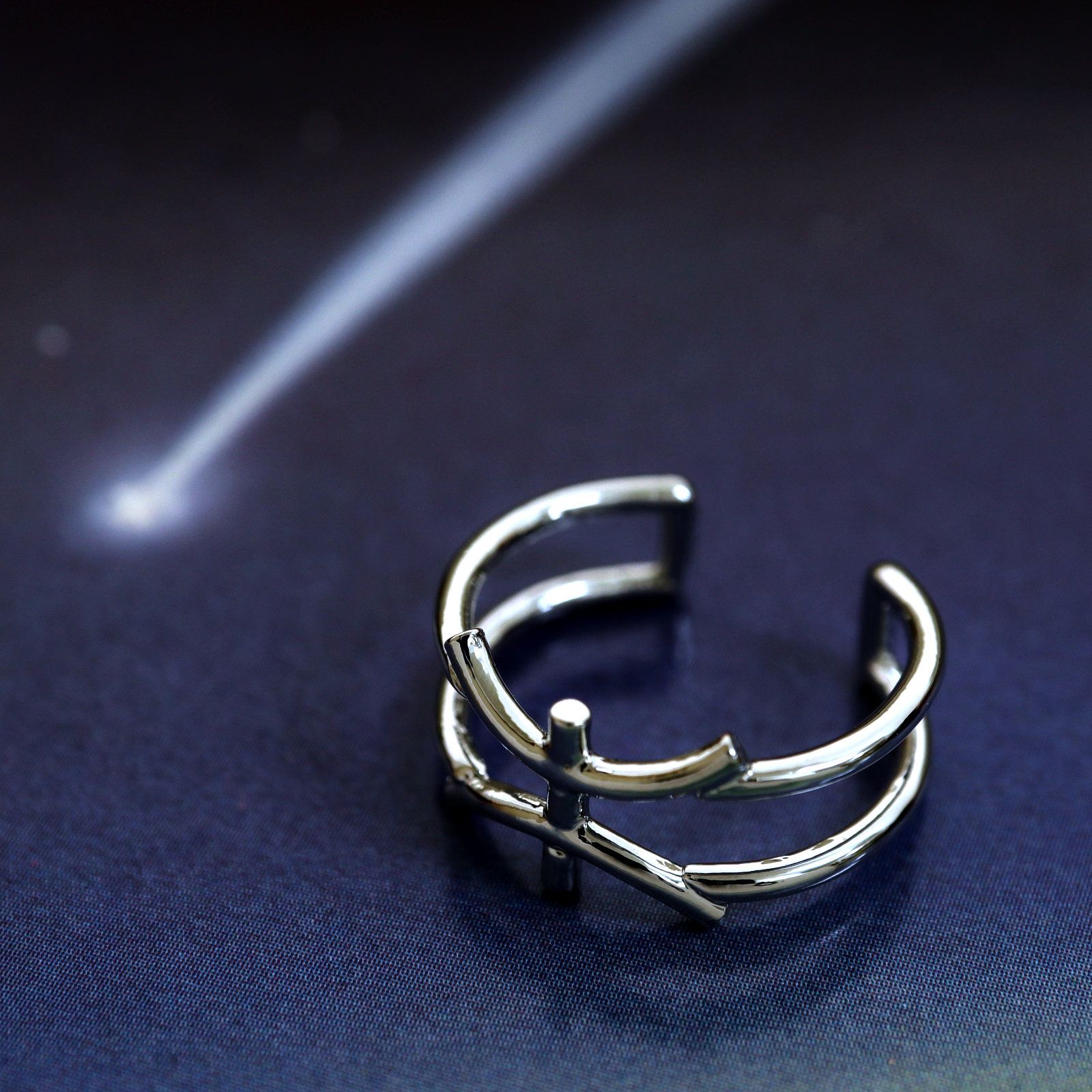 「horoscope ring Pisces」リング うお座 シルバー