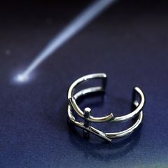 「horoscope ring Pisces」リング うお座 シルバー