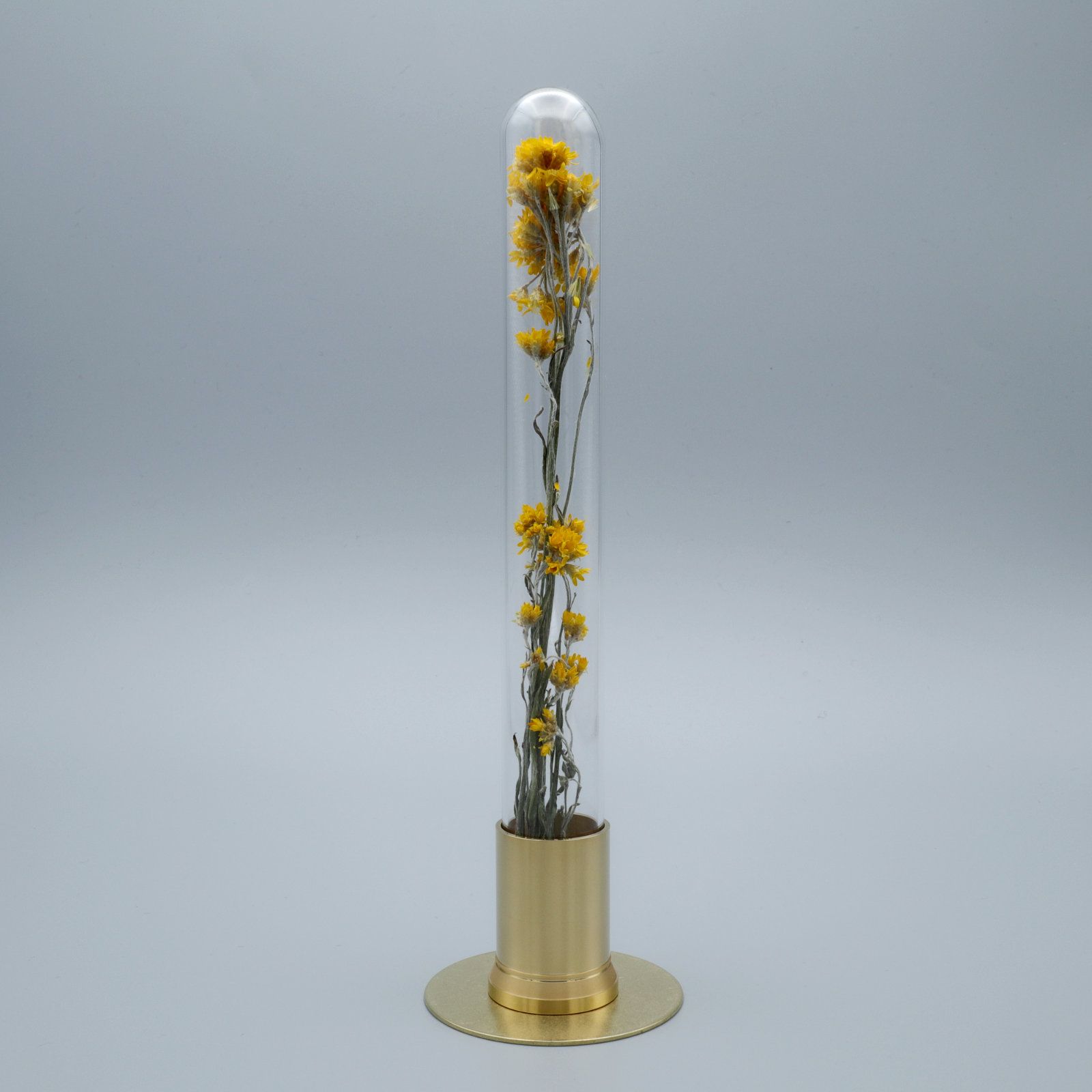 「HERBARIUM BRASS GLASS DOME & VASE SOLID」ローゼンタ